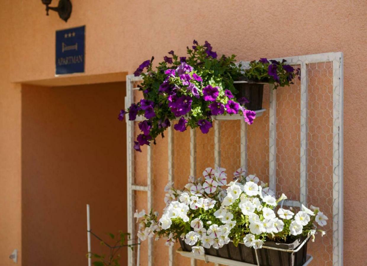 Isabella Apartman Makarska